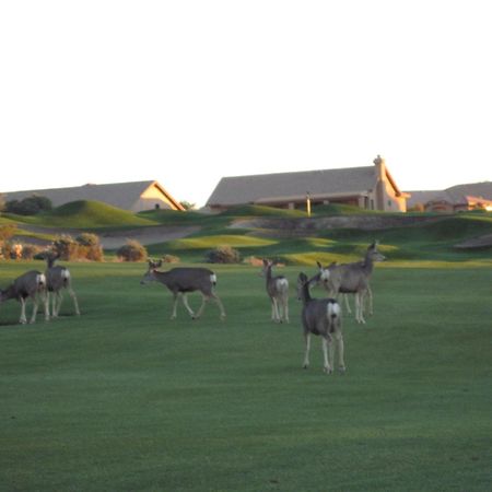 Gold Canyon Golf Resort Phòng bức ảnh