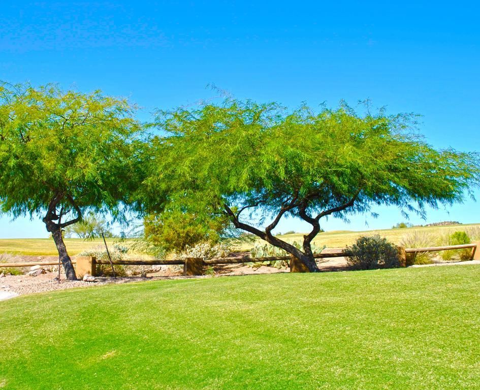 Gold Canyon Golf Resort Phòng bức ảnh